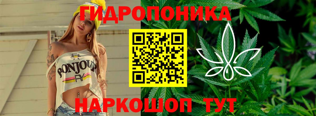 Бошки Шишки Amnesia Ивантеевка
